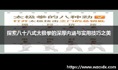 探索八十八式太极拳的深厚内涵与实用技巧之美