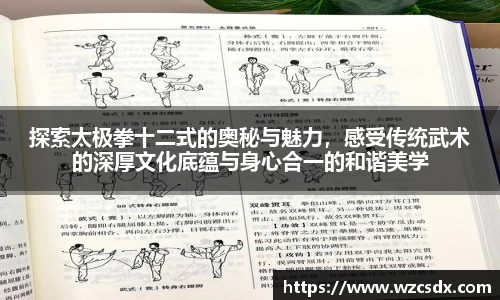 探索太极拳十二式的奥秘与魅力，感受传统武术的深厚文化底蕴与身心合一的和谐美学
