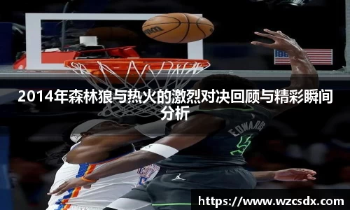 2014年森林狼与热火的激烈对决回顾与精彩瞬间分析